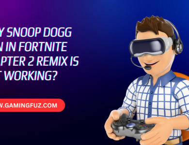 Why Snoop Dogg Skin in Fortnite Chapter 2 Remix is Not Working?