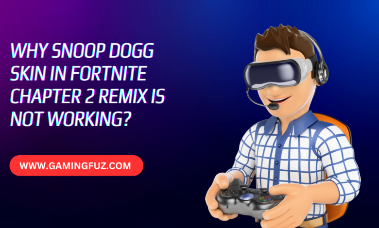 Why Snoop Dogg Skin in Fortnite Chapter 2 Remix is Not Working?